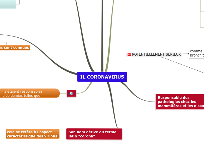 IL CORONAVIRUS