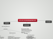 CICLOS BIOOGEOQUIMICOS - Mapa Mental