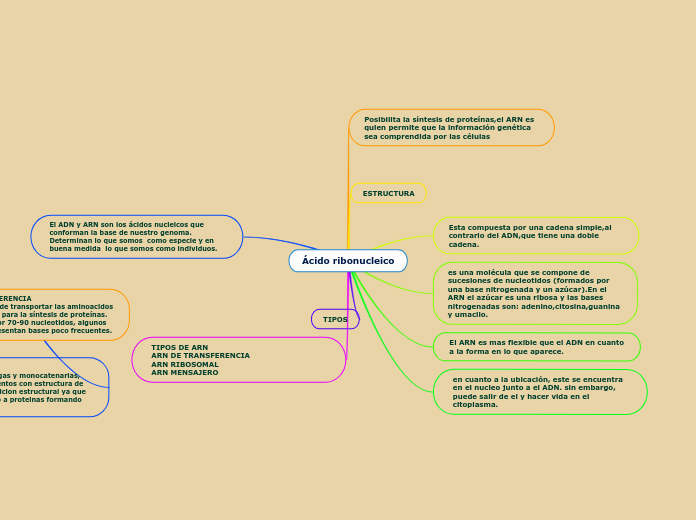  mapa mental del Ácido ribonucleico