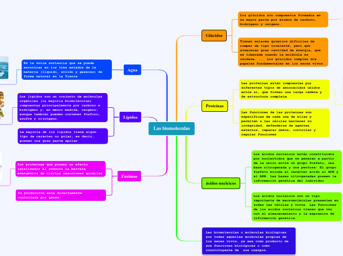 Las biomoleculas