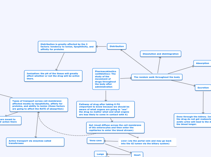 Pharmacokinetics (antibiotics): The study ...- Mind Map