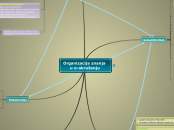 Organizacija znanja 
     u e-okruženju - Mind Map