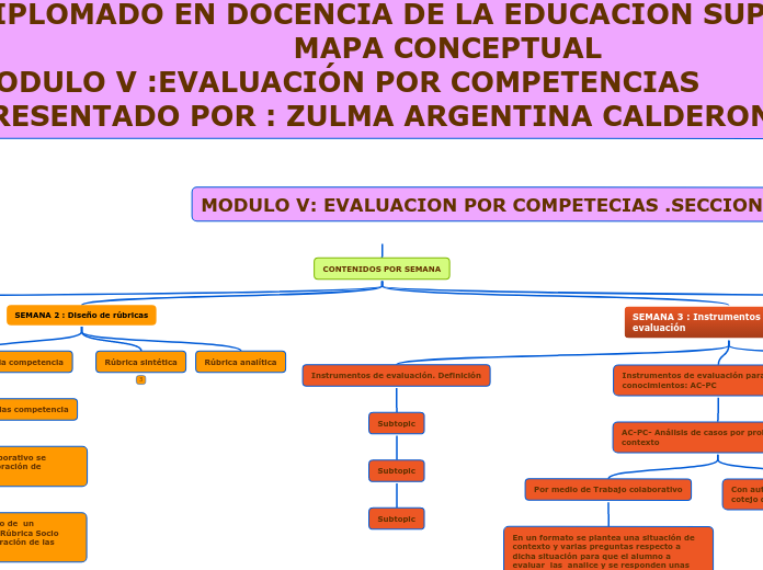 MODULO V: EVALUACION POR COMPETECIAS .SECCION 1