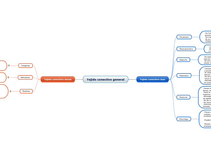 Tejido conectivo general