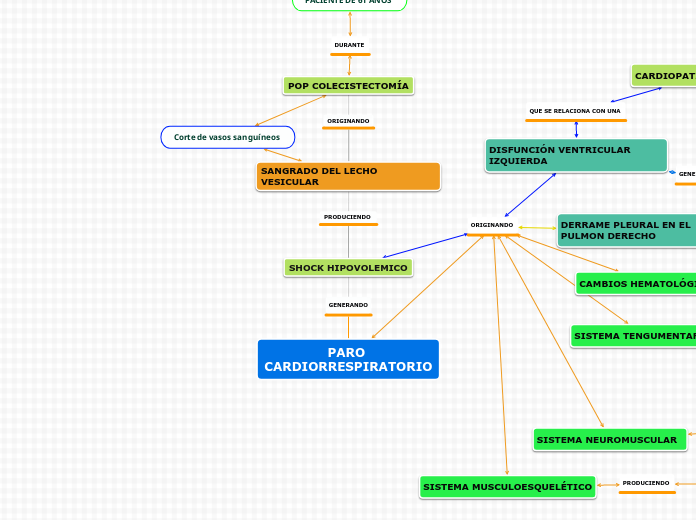 PARO CARDIORRESPIRATORIO