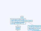 TDA - Mind Map