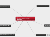 FÍSICA, MAGNITUDES Y MEDIDAS - Mapa Mental