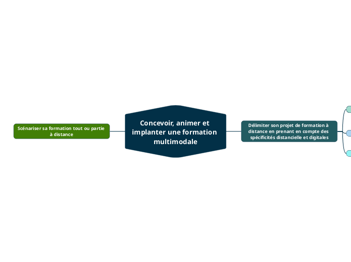 Concevoir, animer et implanter une formation multimodale