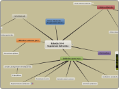       Ibilaldia 2014
Ingurumen batzordea - Mind Map