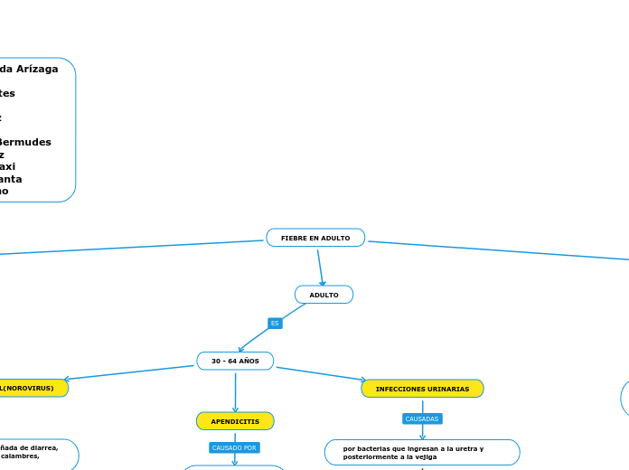FIEBRE EN ADULTO
