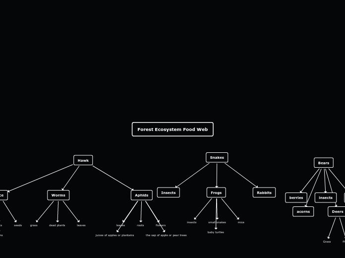 Forest Ecosystem Food Web - Mind Map