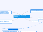 Construccion social de la realidad - Mapa Mental