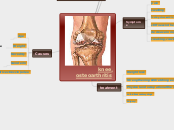 knee osteoarthritis