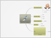 PROCESO PANELA - Mapa Mental