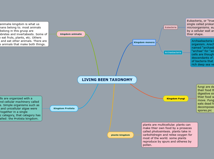 LIVING BEEN TAXONOMY antonella ordonez 