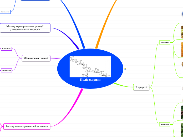 Полісахариди - Мыслительная карта