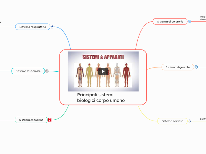 Principali sistemi biologici corpo umano