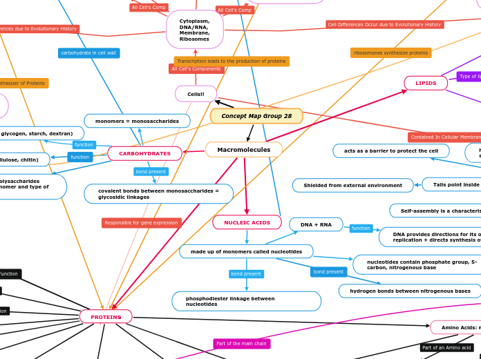 Concept Map Group 28