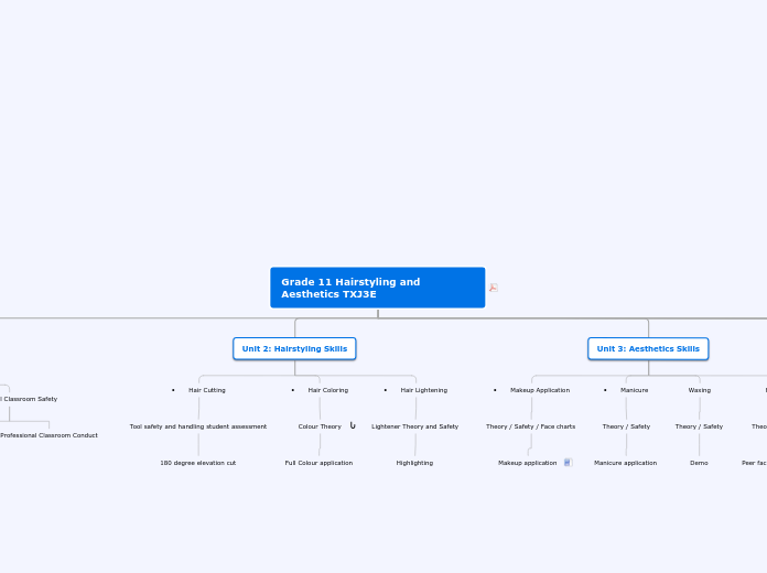 Grade 11 Hairstyling and Aesthetics TXJ3E - Mind Map