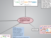 DOGMA CENTRAL DE LA BIOLOGÍA MOLECULAR ...- Mapa Mental