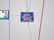 semiologia pulmonar