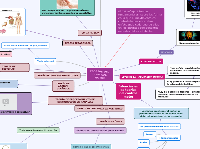 TEORÍAS DEL CONTROL MOTOR - Mapa Mental
