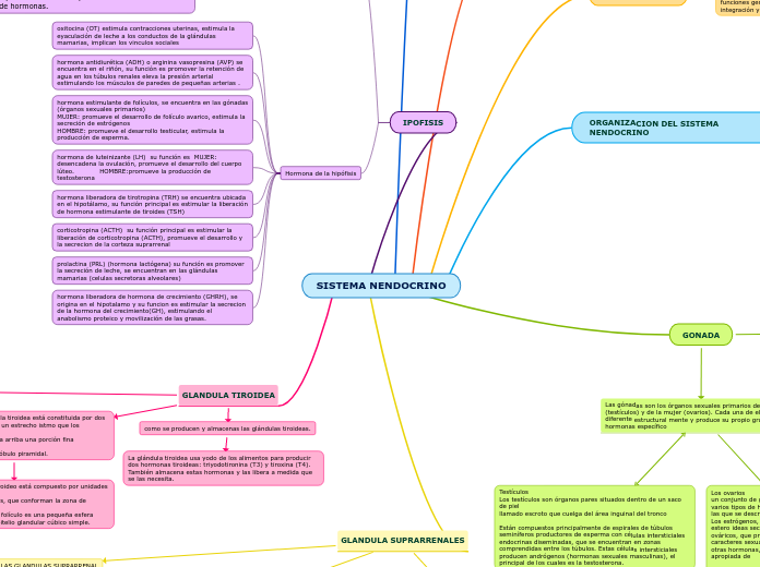 SISTEMA NENDOCRINO - Mapa Mental
