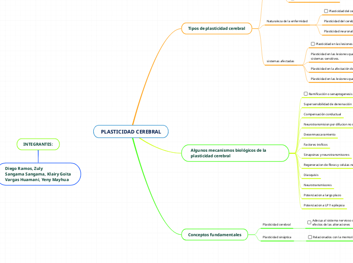PLASTICIDAD CEREBRAL