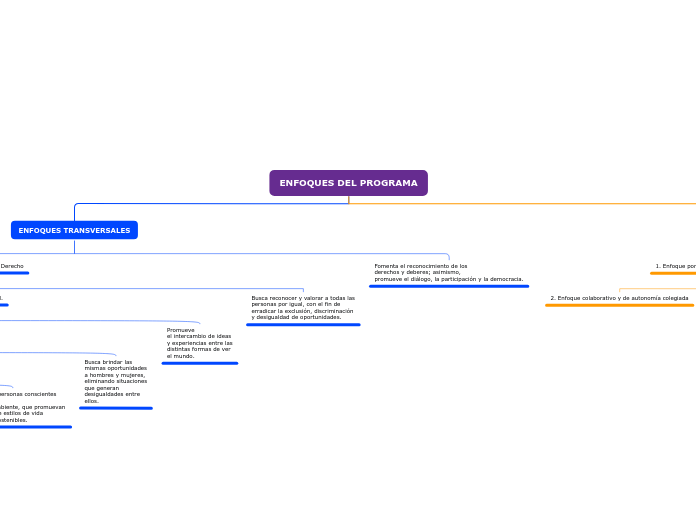 ENFOQUES DEL PROGRAMA