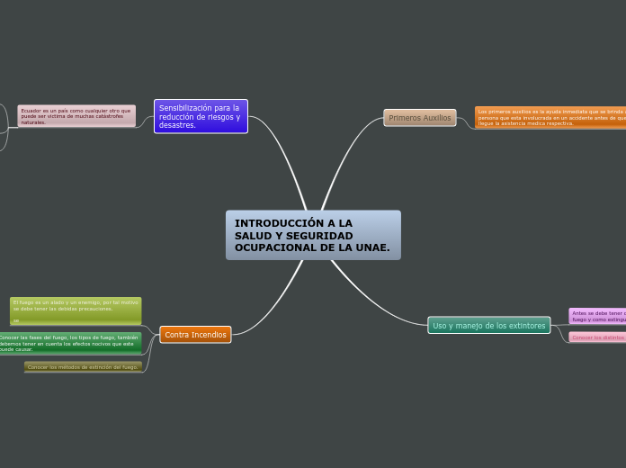 INTRODUCCIÓN A LA SALUD Y SEGURIDAD OCUPACIONAL DE LA UNAE.