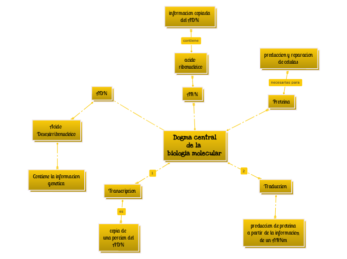 Dogma central
de la 
biologia molecular