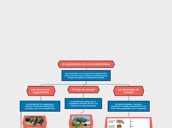 EL EQUILIBRIO DE LOS ECOSISTEMAS