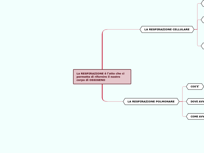 La RESPIRAZIONE è l'atto che ci permette di rifornire il nostro corpo di OSSIGENO