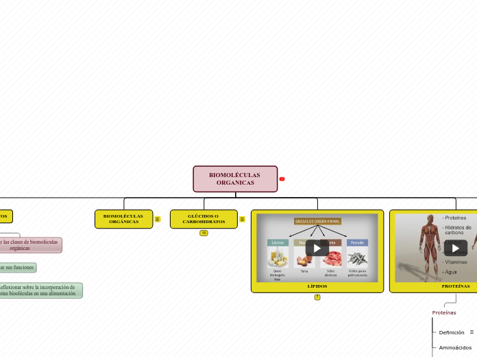 BIOMOLÉCULAS ORGANICAS - Mapa Mental