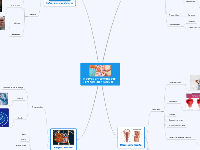 Nuevas enfermedades (Transmisión Sexual...- Mapa Mental