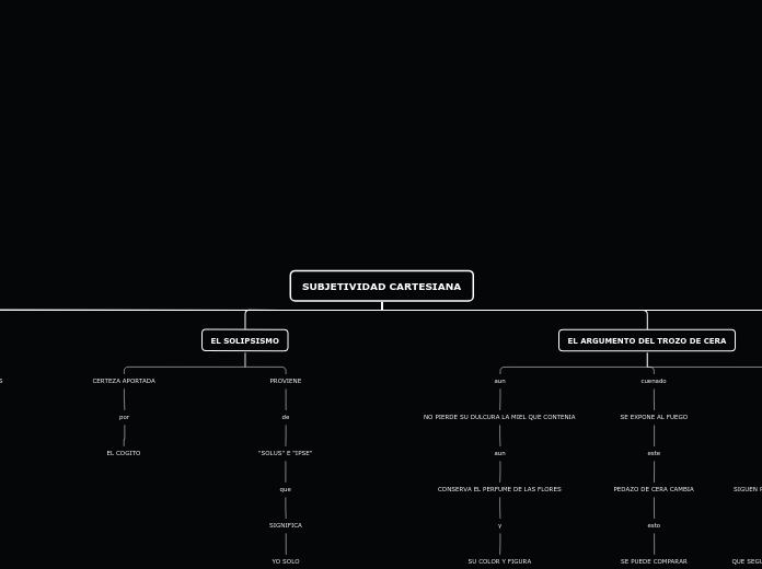 SUBJETIVIDAD CARTESIANA - Mapa Mental