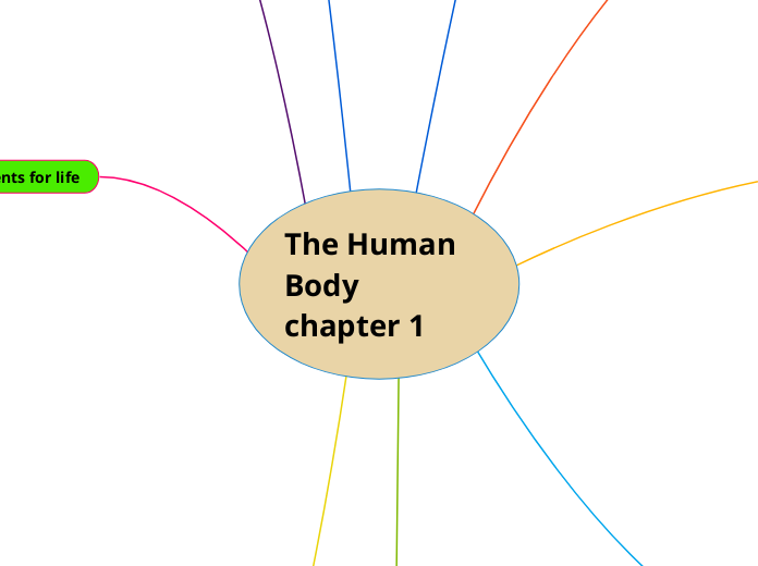 The Human Body chapter 1