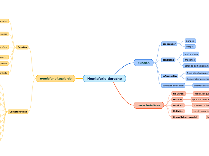 Hemisferio derecho