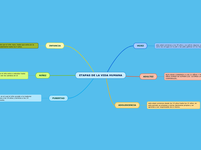 ETAPAS DE LA VIDA HUMANA