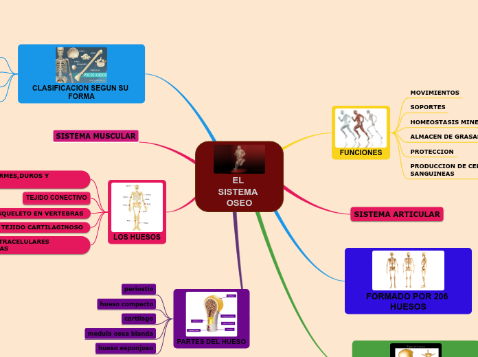 EL SISTEMA                             OSEO
