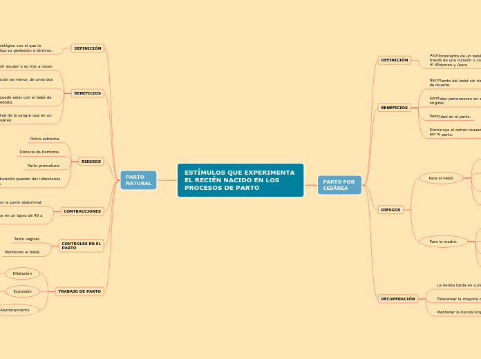 ESTÍMULOS QUE EXPERIMENTA 
EL RECIÉN NACIDO EN LOS 
PROCESOS DE PARTO