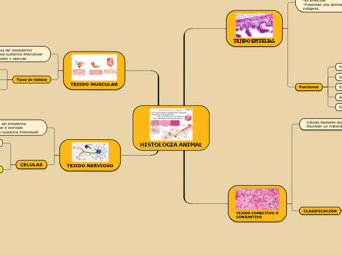 𝗛𝗜𝗦𝗧𝗢𝗟𝗢𝗚𝗜𝗔 𝗔𝗡𝗜𝗠𝗔𝗟 - Mapa Mental