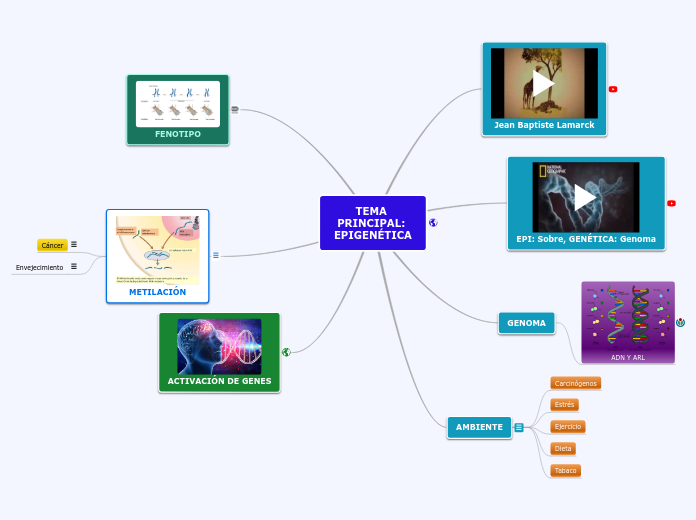 TEMA PRINCIPAL: EPIGENÉTICA