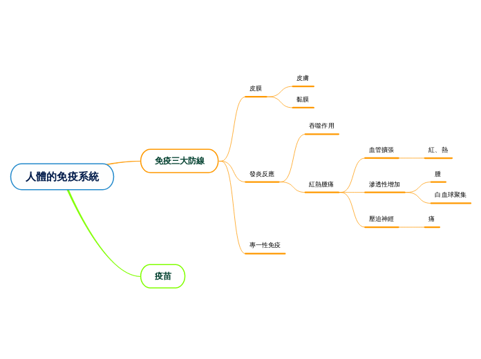 人體的免疫系統 - 思維導圖