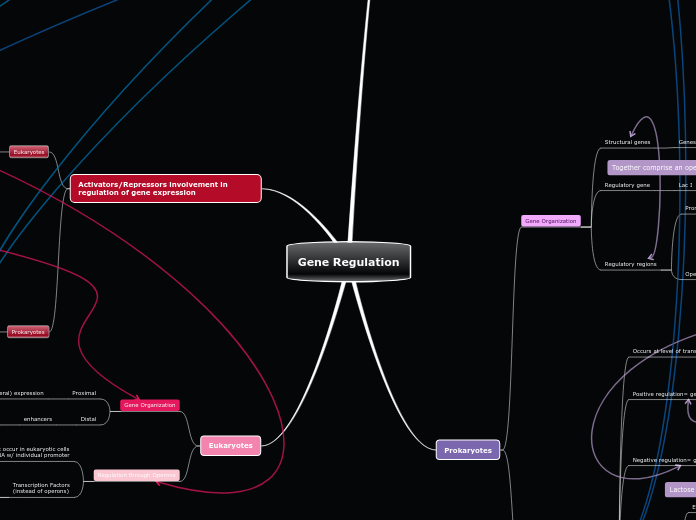 Gene Regulation