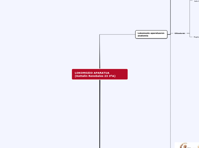 LOKOMOZIO APARATUA     (Kattalin Renobales...- Mind Map