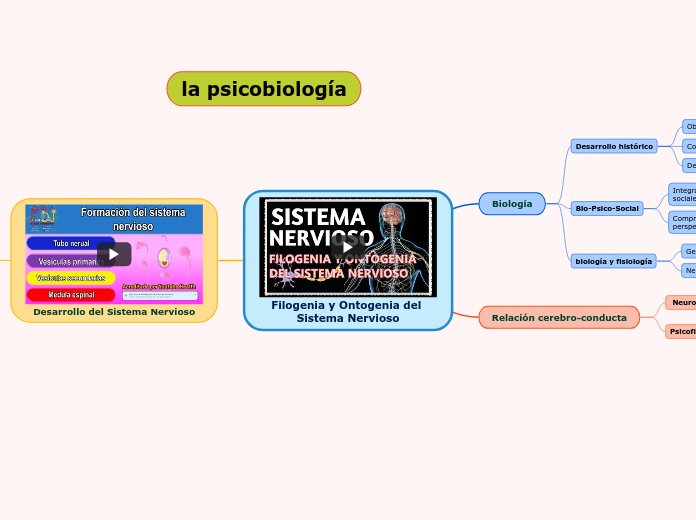 Filogenia y Ontogenia del Sistema Nervioso