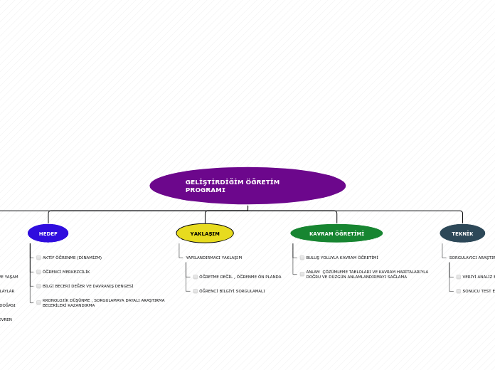 GELİŞTİRDİĞİM ÖĞRETİM PROGRAMI - Mind Map