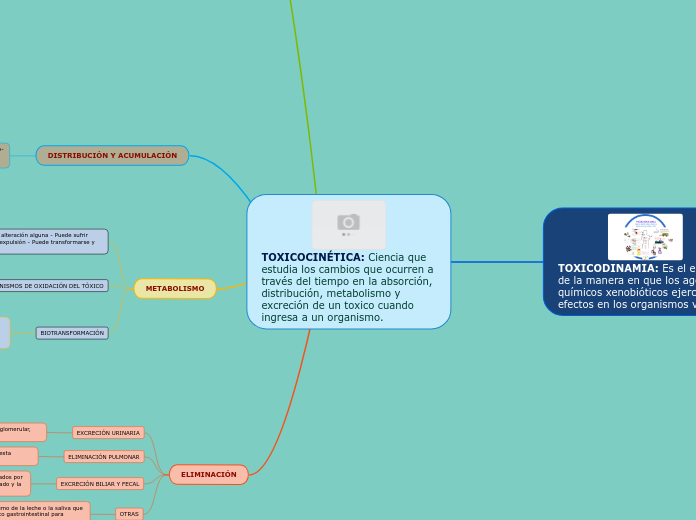 TOXICOCINÉTICA: Ciencia que estudia los cambios que ocurren a través del tiempo en la absorción, distribución, metabolismo y excreción de un toxico cuando ingresa a un organismo.