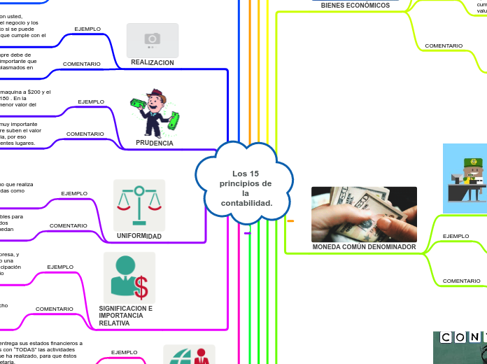 Los 15 principios de la contabilidad.